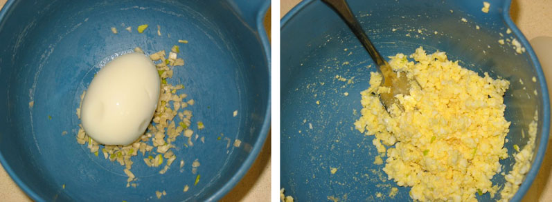 mashed egg