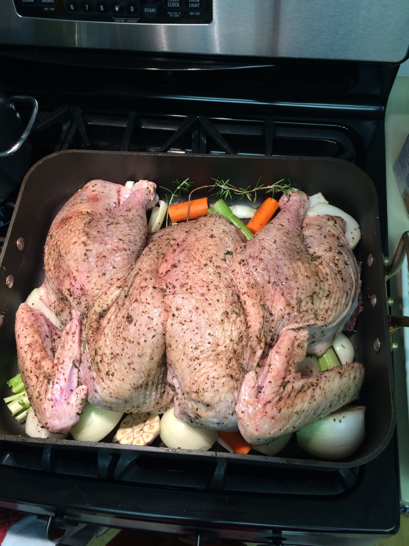 Turkey into oven